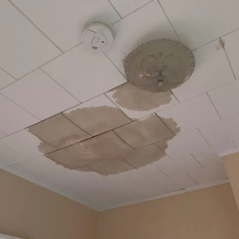 Ceiling Water Damage Repair in Dutchess County, NY